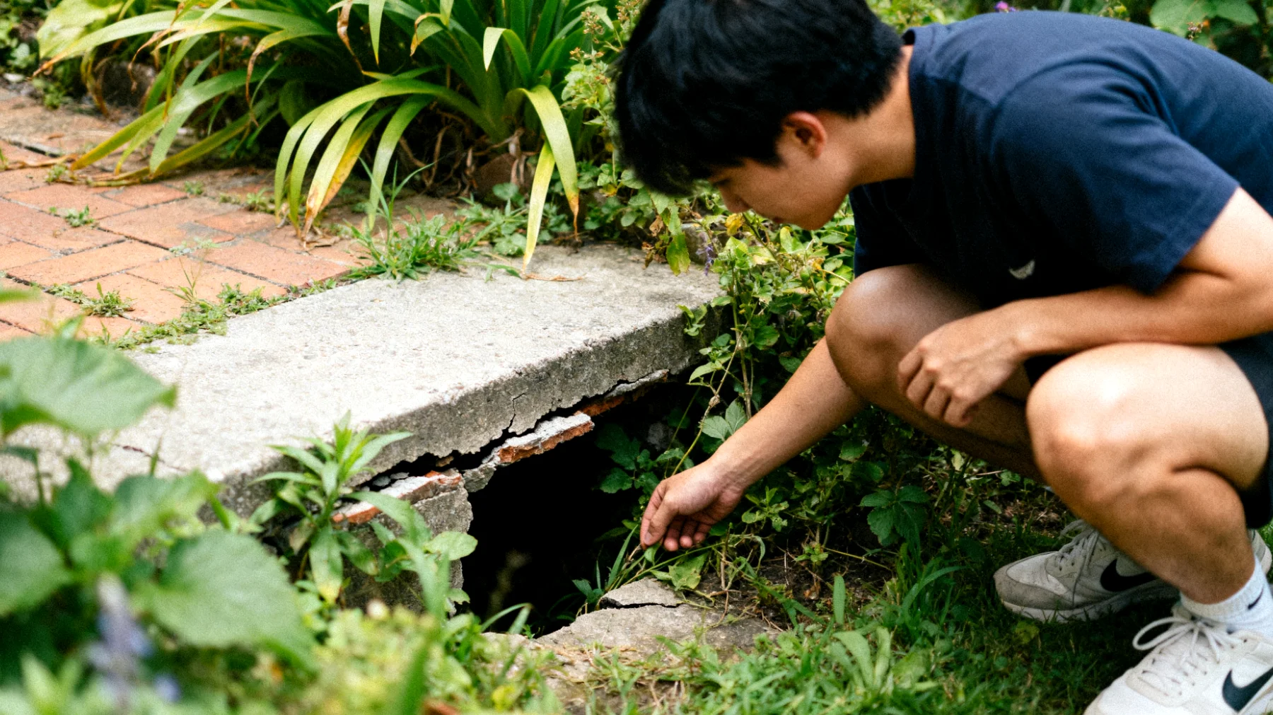 Automatischer Rasensprenger"